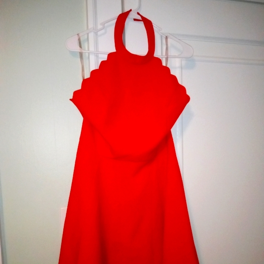 Lucy Paris Scalloped Fit and Flare Form Fitting Dress